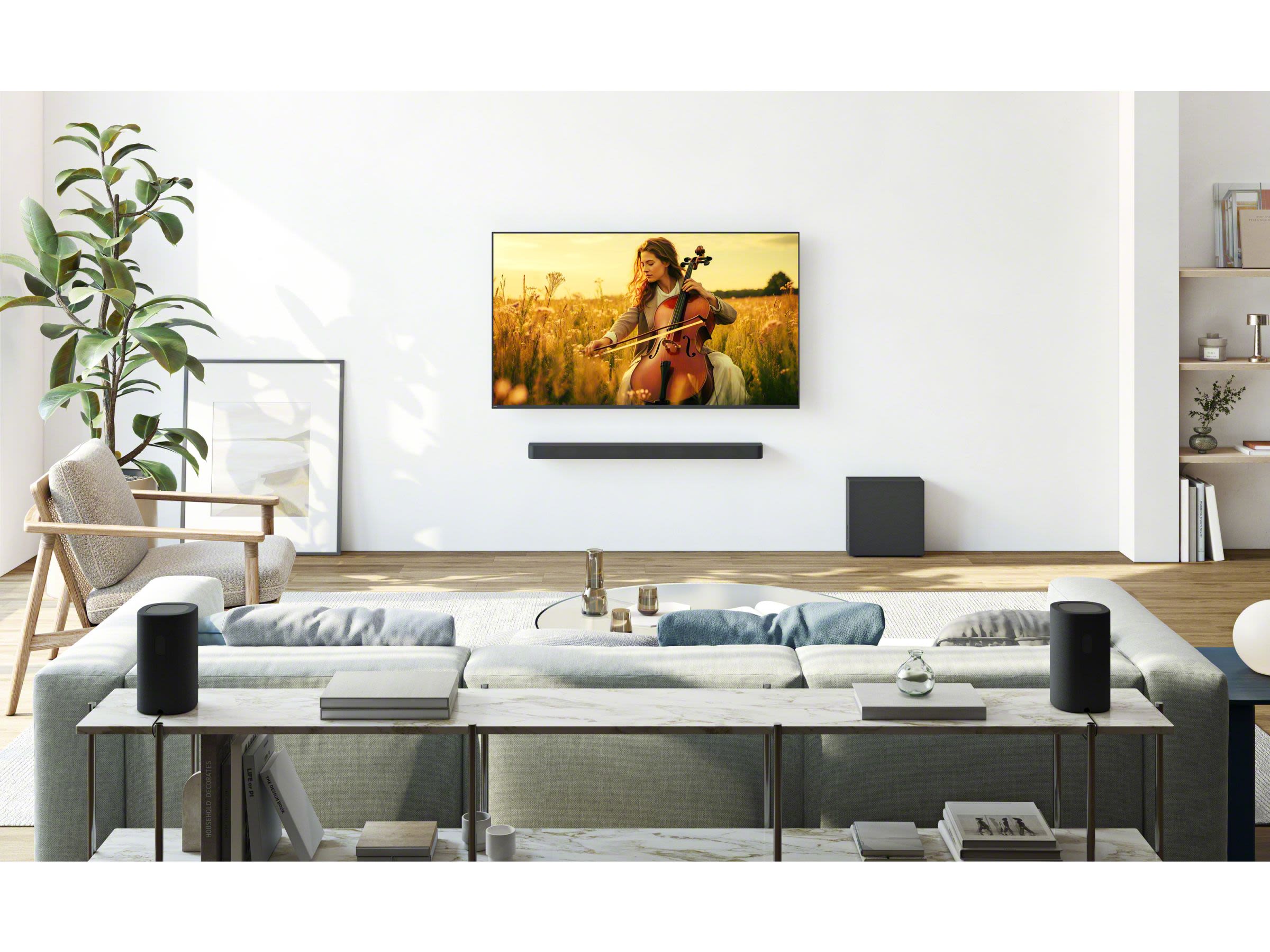 Sony BRAVIA Theatre Rear 8 (Pair) - Surround Speakers – Fillion