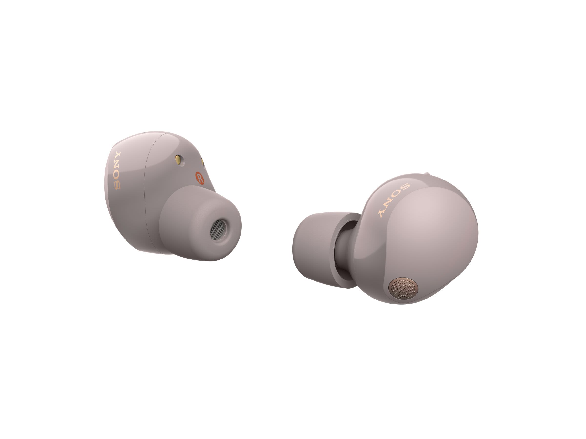 Sony WF-1000XM5 - IN-EAR HEADPHONES – Fillion Électronique