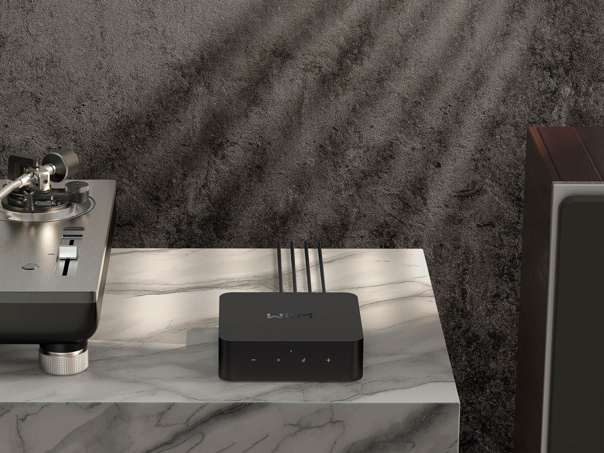 Wiim Pro Plus - STREAMERS – Fillion Électronique