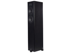 Totem Acoustic Bison Twin Tower (Paire)