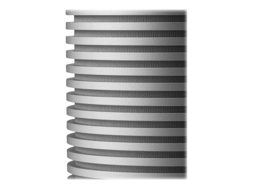Bang & Olufsen BeoSound Explore
