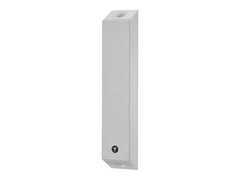 Focal On Wall 301